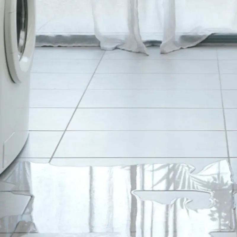 Appliance Leak Cleanup in Alton, MO