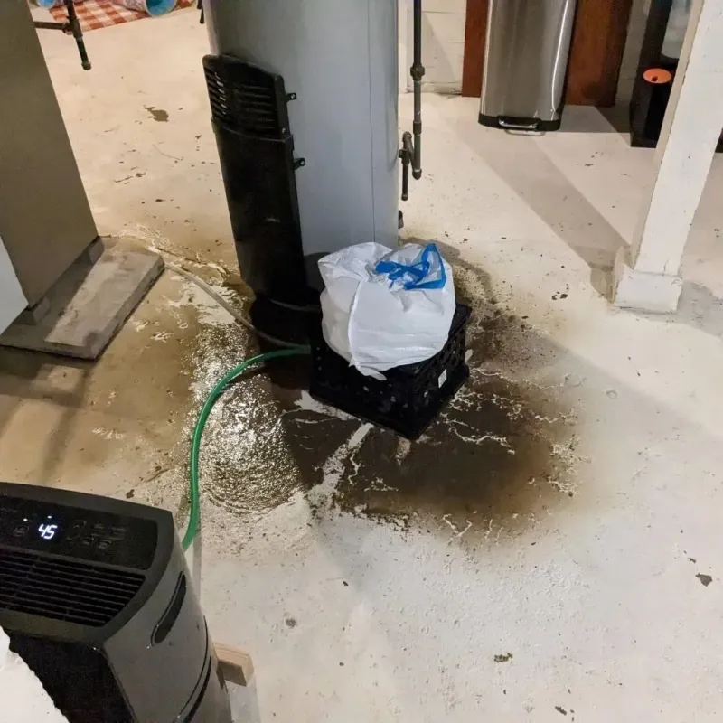 Sewage Backup Cleanup Service in Alton, MO